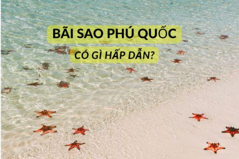 BÃI SAO PHÚ QUỐC CÓ GÌ HẤP DẪN? CÙNG PHÚ QUỐC EXPRESS KHÁM PHÁ NGAY!