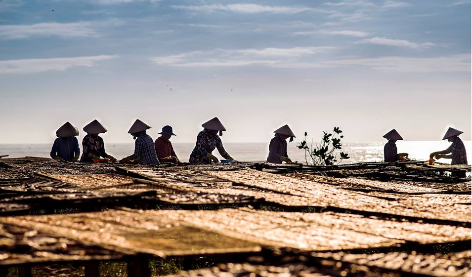 LÀNG CHÀI PHƯỚC HẢI