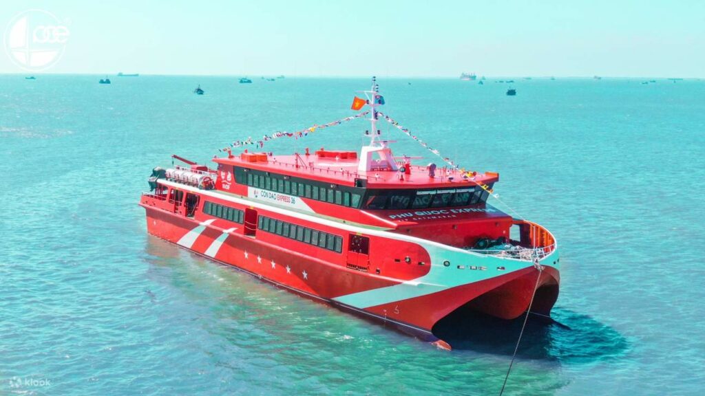 Tàu cao tốc Phú Quốc Express đưa bạn đi ngắm sinh vật biển