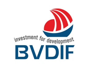 bvdif-logo