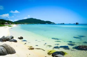 Đến Phú Quốc mà không ghé thăm Bãi Trường thì quả thật là một thiếu sót!
