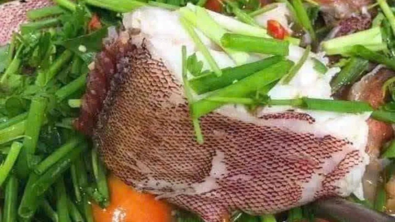 Cá mú đỏ hớ thịt trắng phau, chắc vị ngọt đậm đà tự nhiên