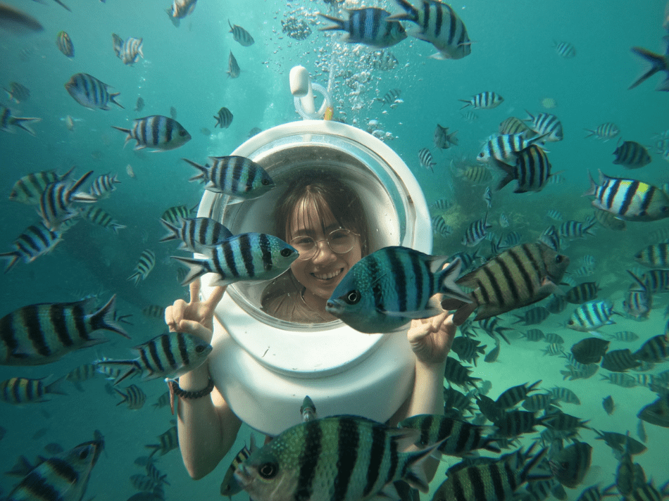 Đi bộ dưới đáy Công viên san hô Ocean Pearl - Phú Quốc mà khách du lịch không thể bỏ qua