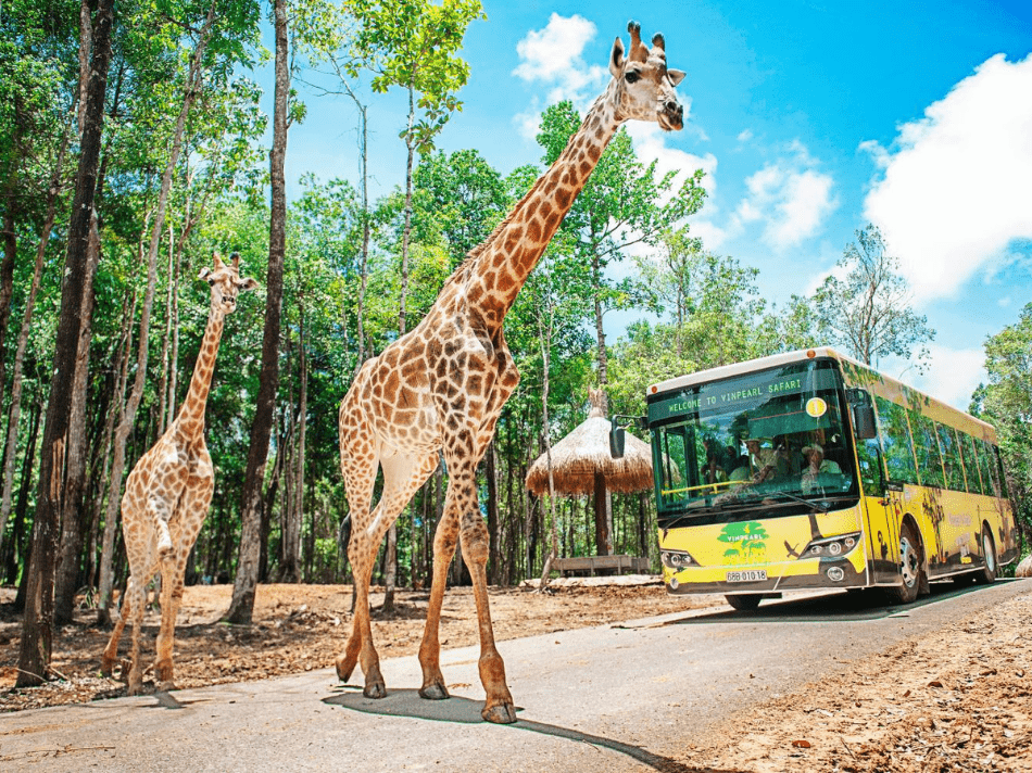 thế giới động vật ở Safari Phú Quốc
