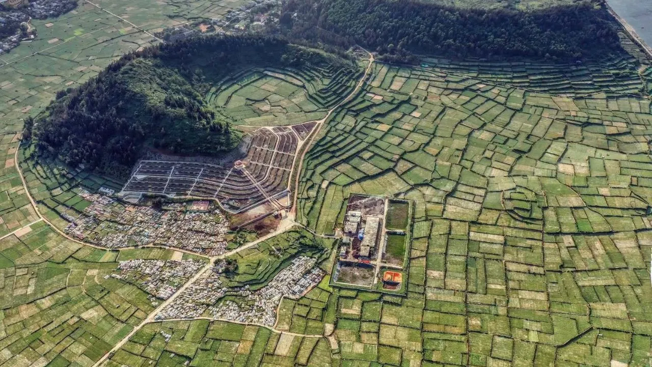 Cánh đồng tỏi Lý Sơn