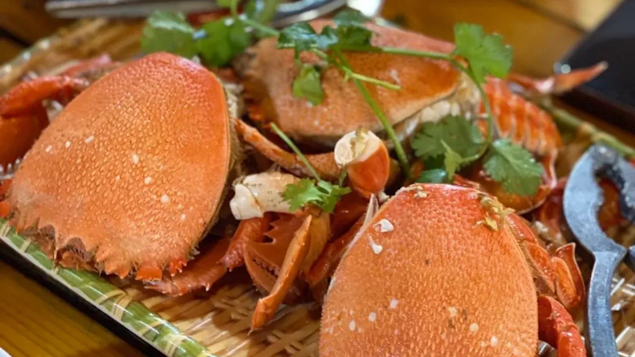 Cua Huỳnh Đế - Đặc sản hải sản trên đảo Lý Sơn