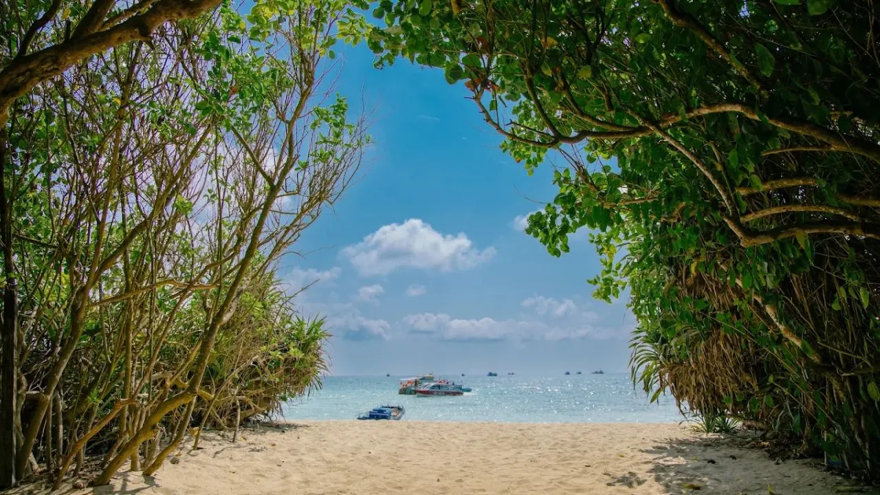 Hòn Tranh