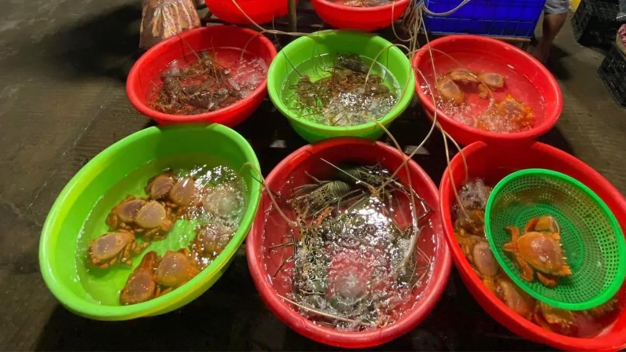 Hải sản ở Lý Sơn
