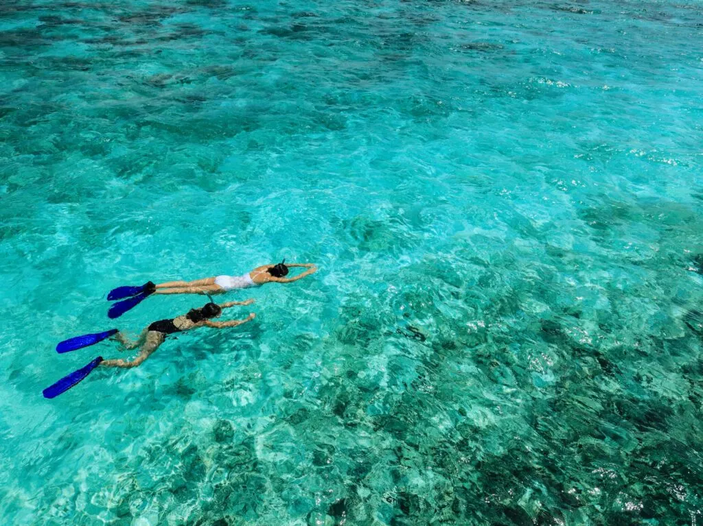 Experience exploring Con Dao - swimming and diving to see coral