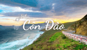 Enjoy a memorable journey to Con Dao
