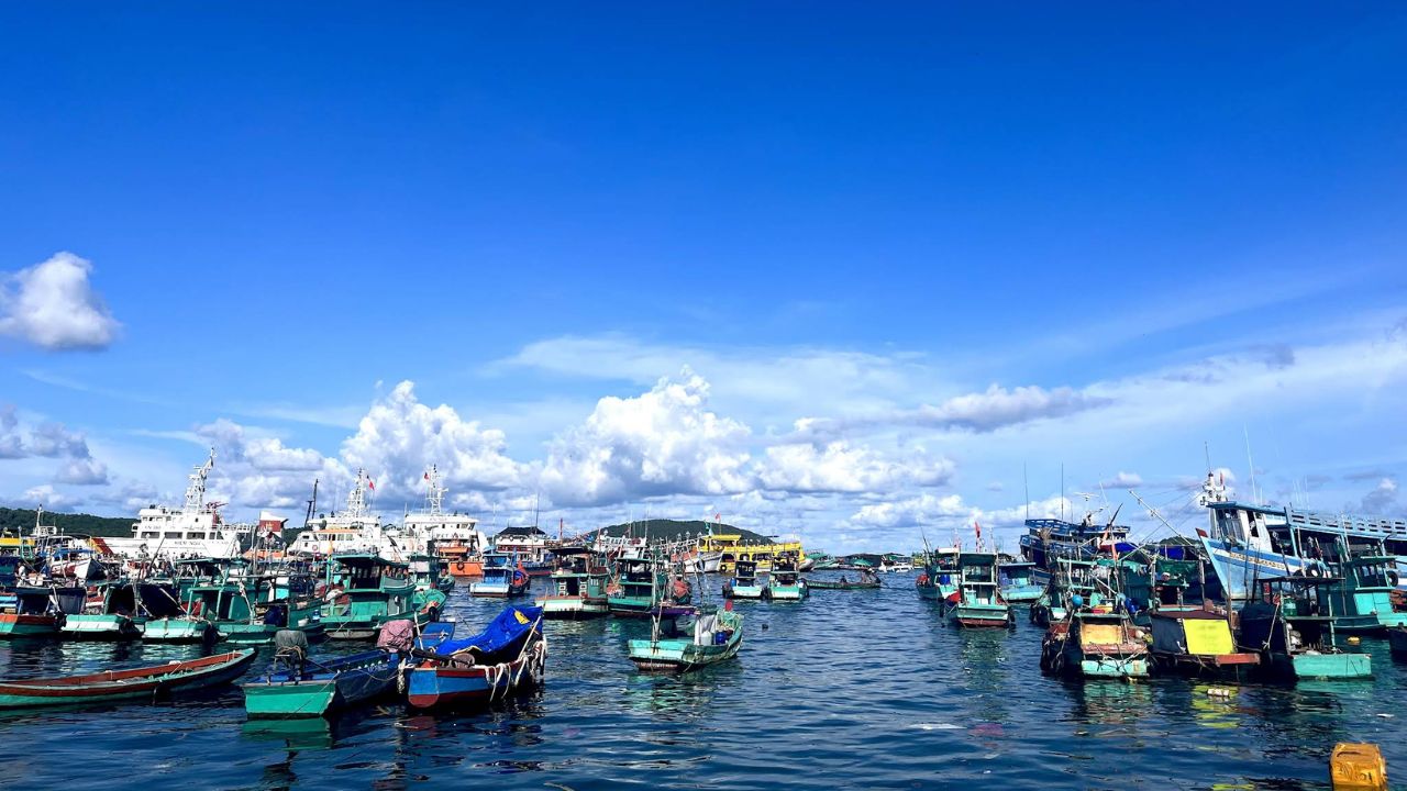 Cảnh tàu cá cập bến cảng An Thới lúc sáng sớm