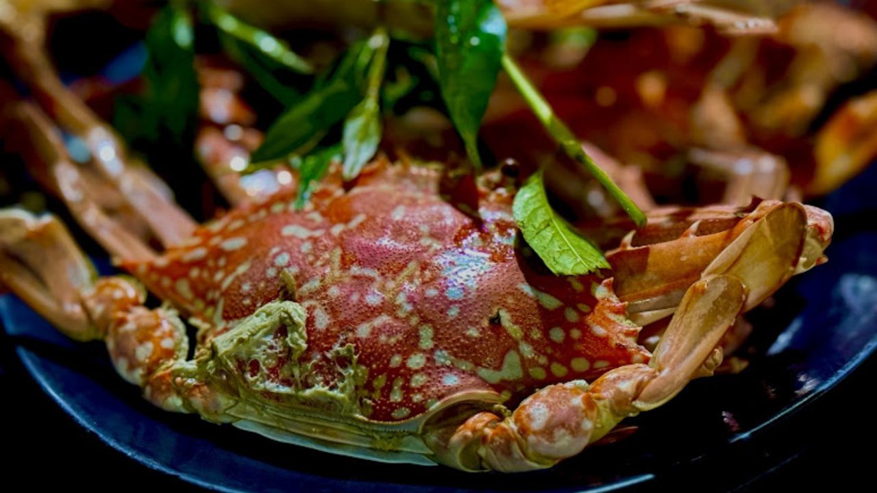 Ghẹ Hàm Ninh, Phú Quốc