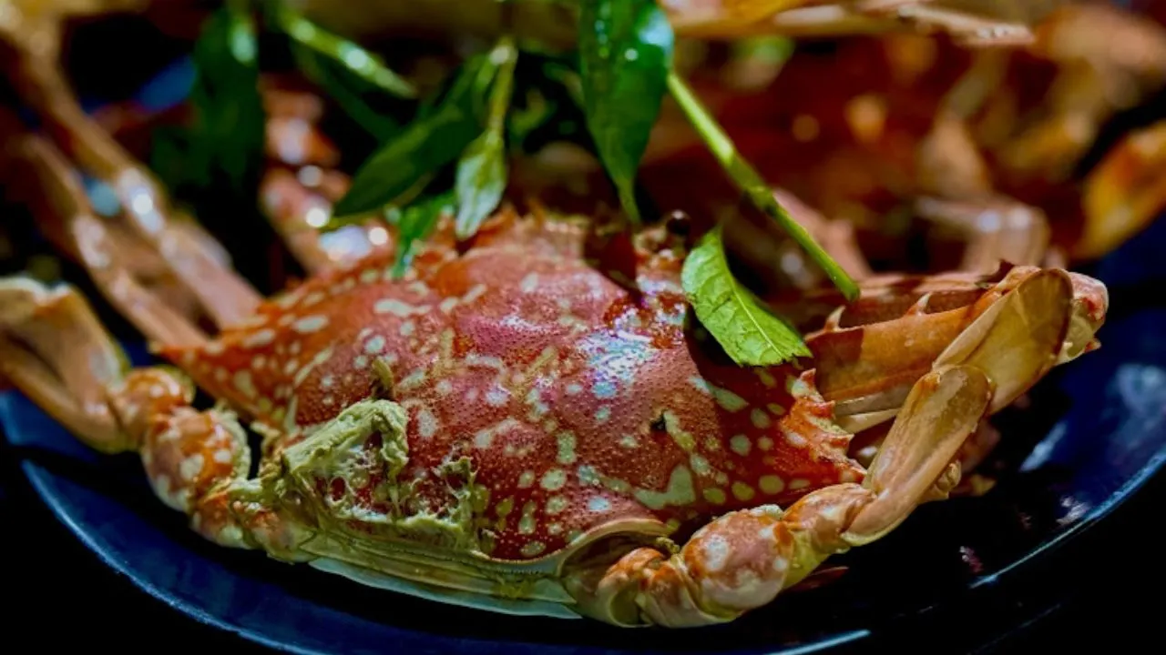 Ghẹ Hàm Ninh, Phú Quốc