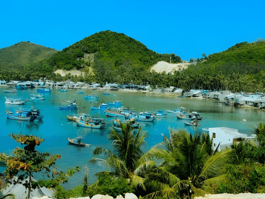 បៃង៉ូ Nam Du