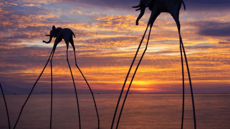Long-legged elephants on the sea surface