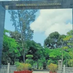 To the sacred land: Discover the legendary Hang Duong Cemetery
