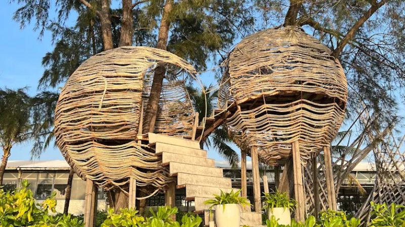 Giant bird nest – Bird Nest