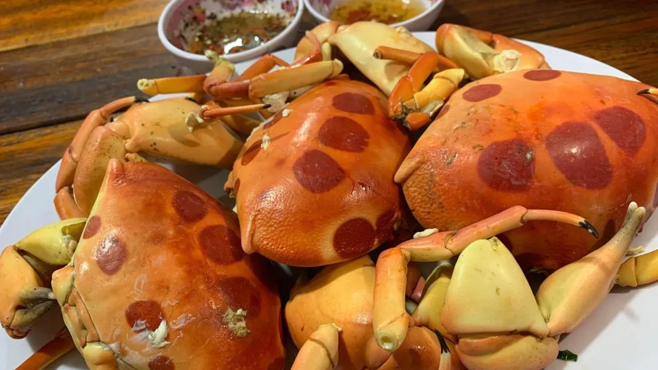 Cua mặt trăng - Đặc sản ở Côn Đảo