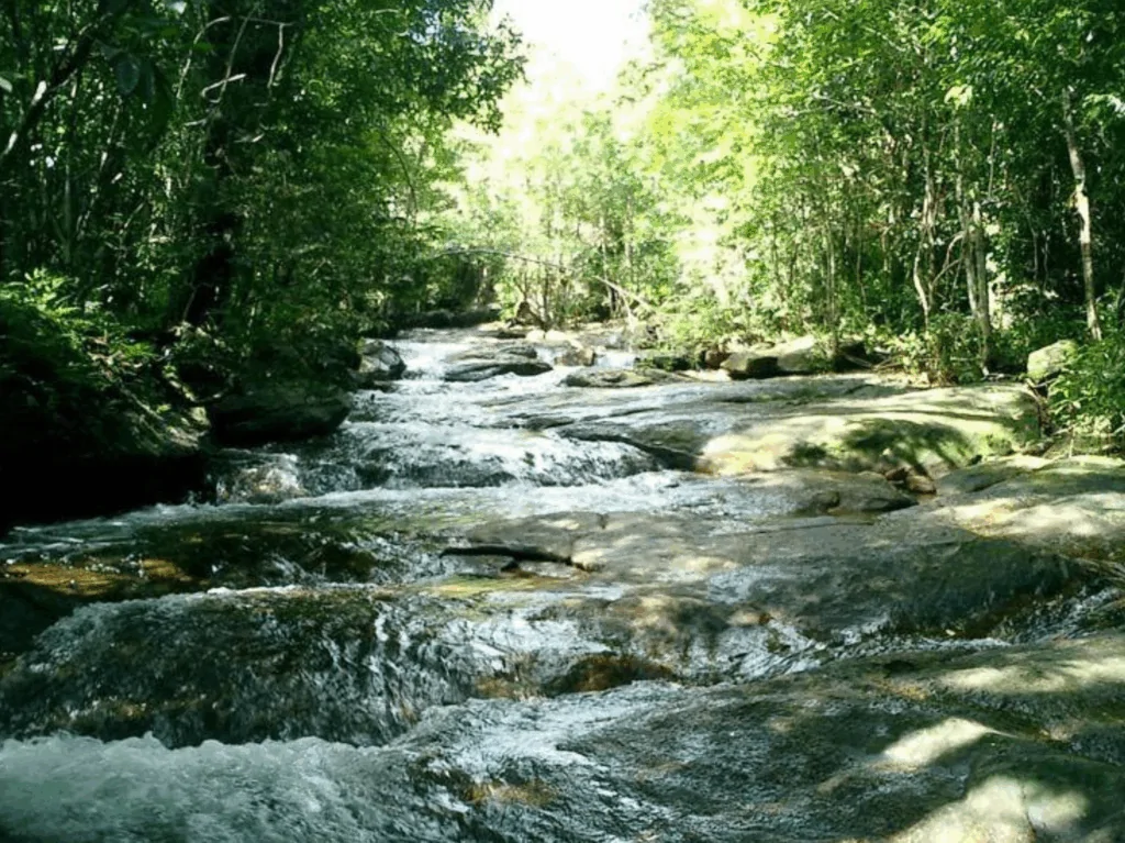 Suối Tiên Phú Quốc