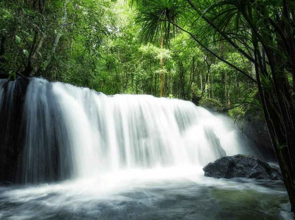 Tranh Stream Phú Quốc