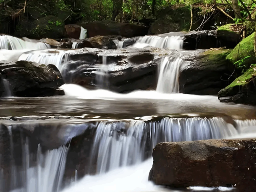 Tranh Stream Phú Quốc
