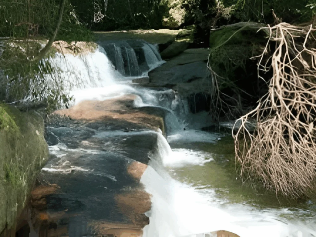 Tranh Stream Phú Quốc