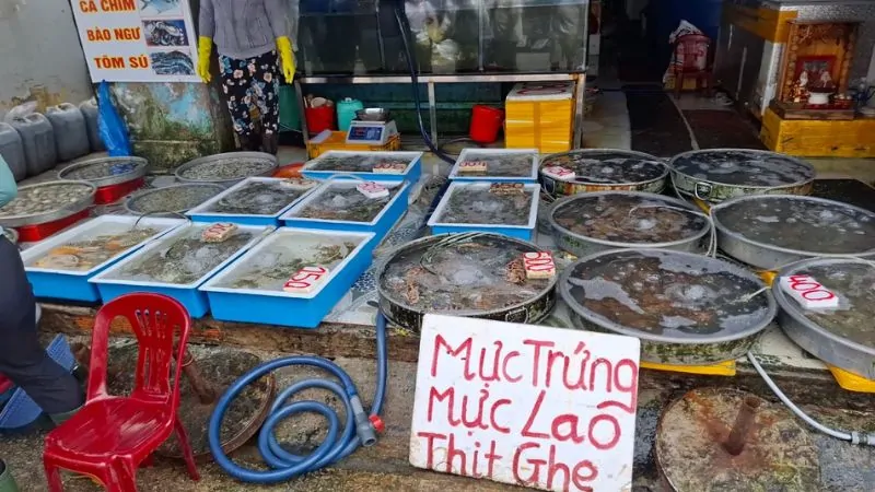 Fresh Seafood at Dương Đông Market Phú Quốc