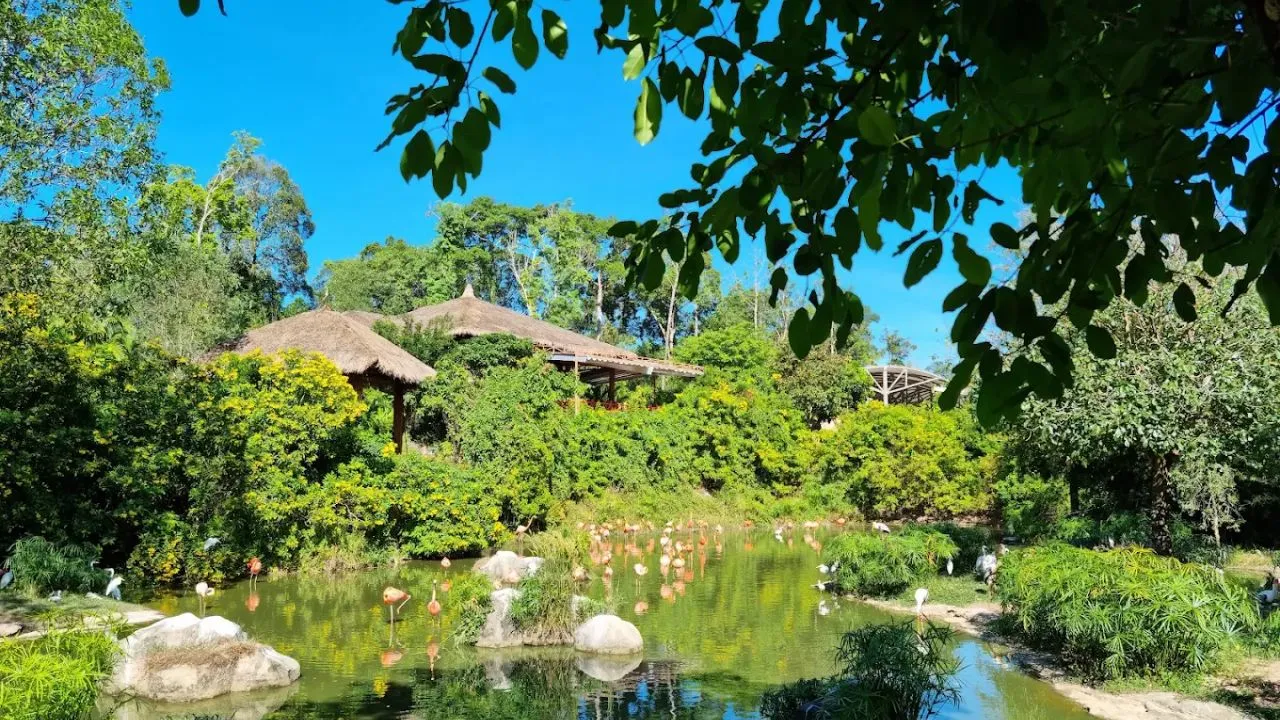 Vinpearl Safari Phú Quốc là công viên chăm sóc và bảo tồn động vật bán hoang dã lớn nhất Việt Nam