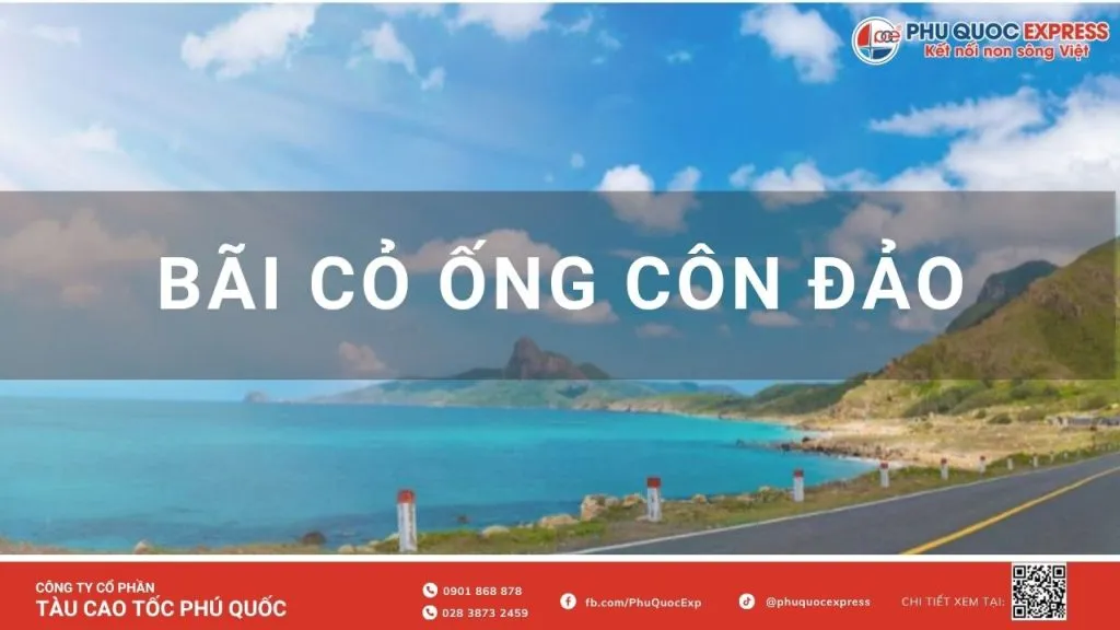 Bãi Cỏ Ống Côn Đảo
