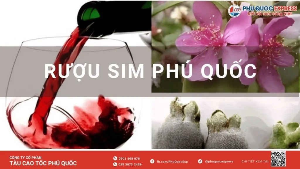 Blackberry Wine Phú Quốc