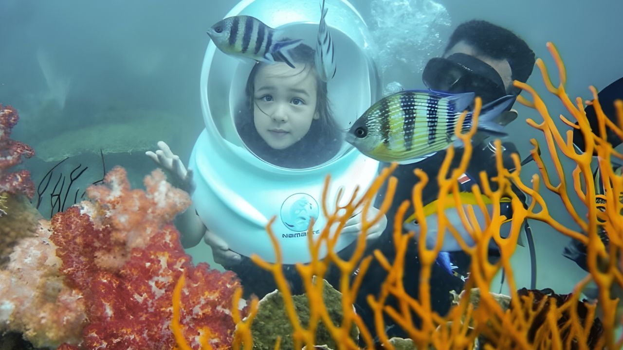 Du khách trải nghiệm Sea Walker, đội mũ lặn chuyên dụng đi trên nền san hô