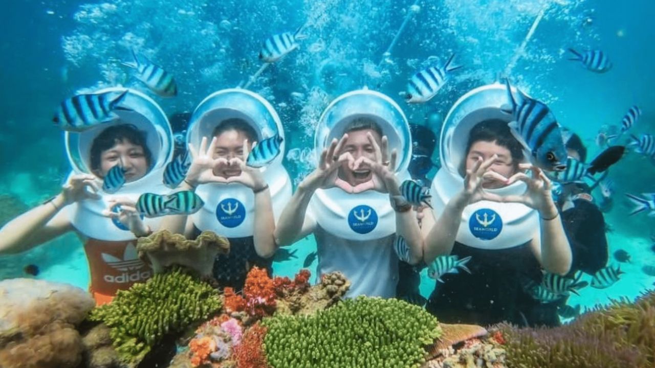Lưu giữ khoảng khắc dưới nước tại Công viên san hô Ocean Pearl Phú Quốc