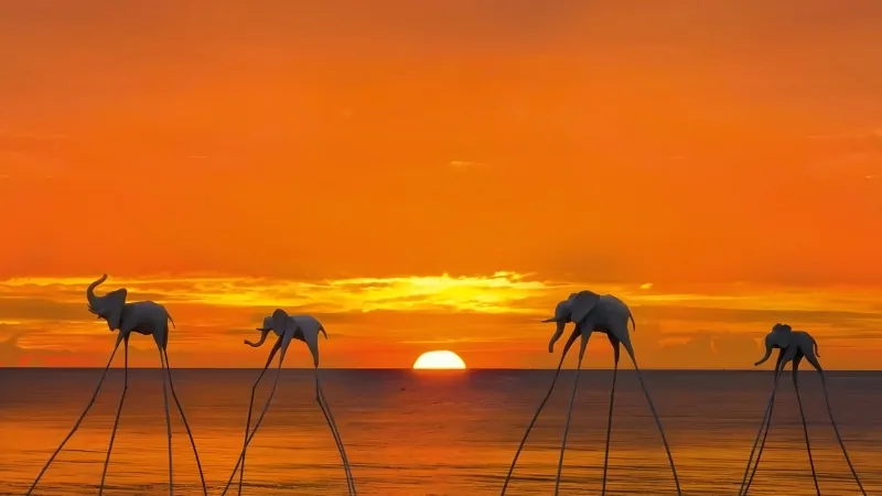 Sunset Sanato Beach Club Café Phú Quốc