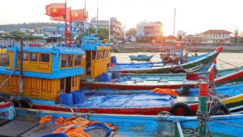 Chợ hải sản Lý Sơn đánh bắt trong ngày