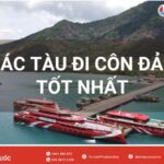 Các tàu đi Côn Đảo tốt nhất