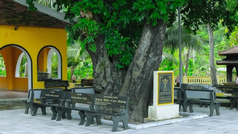 Khám phá Đền thờ Bà Phi Yến (An Sơn Miếu) Côn Đảo