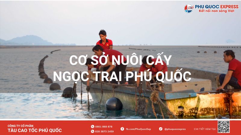 Cơ sở nuôi cấy ngọc trai Phú Quốc