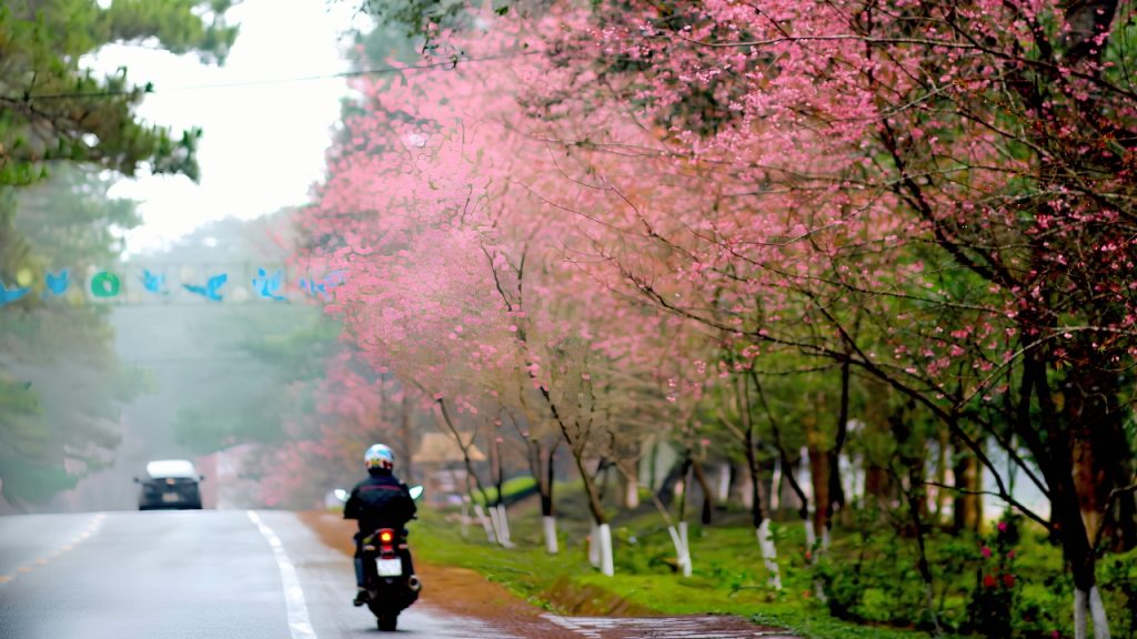 Biển Lộc An – Trải nghiệm băng qua đầm nước