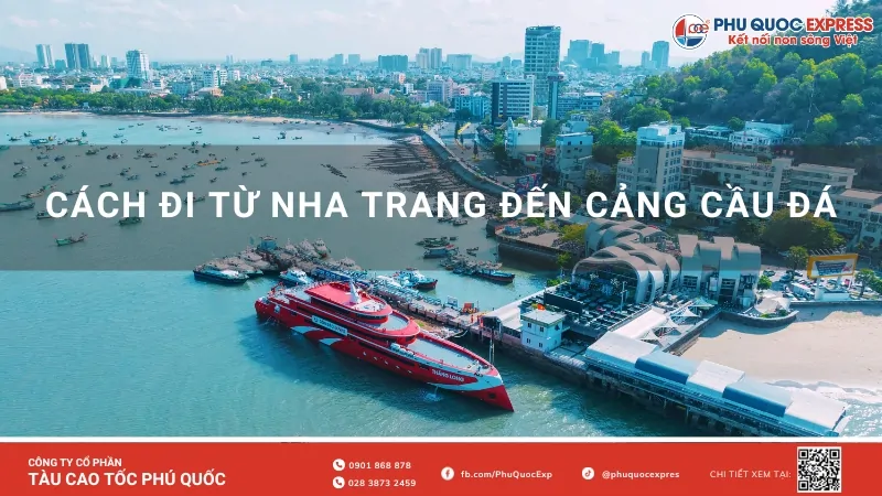 Detailed Guide on How to Get from Nha Trang to Cau Da Port: From Route Vũng Tàu to Route Côn Đảo