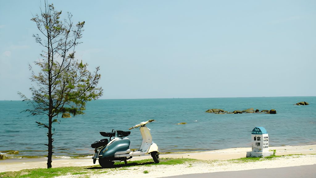 Thời điểm lý tưởng và Hướng dẫn di chuyển