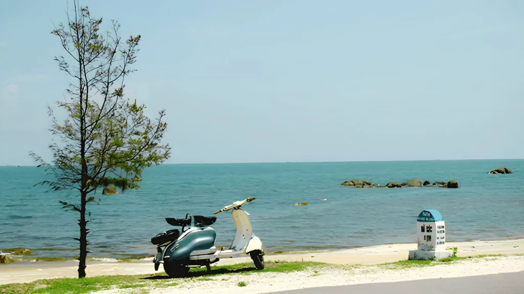 Thời điểm lý tưởng và Hướng dẫn di chuyển