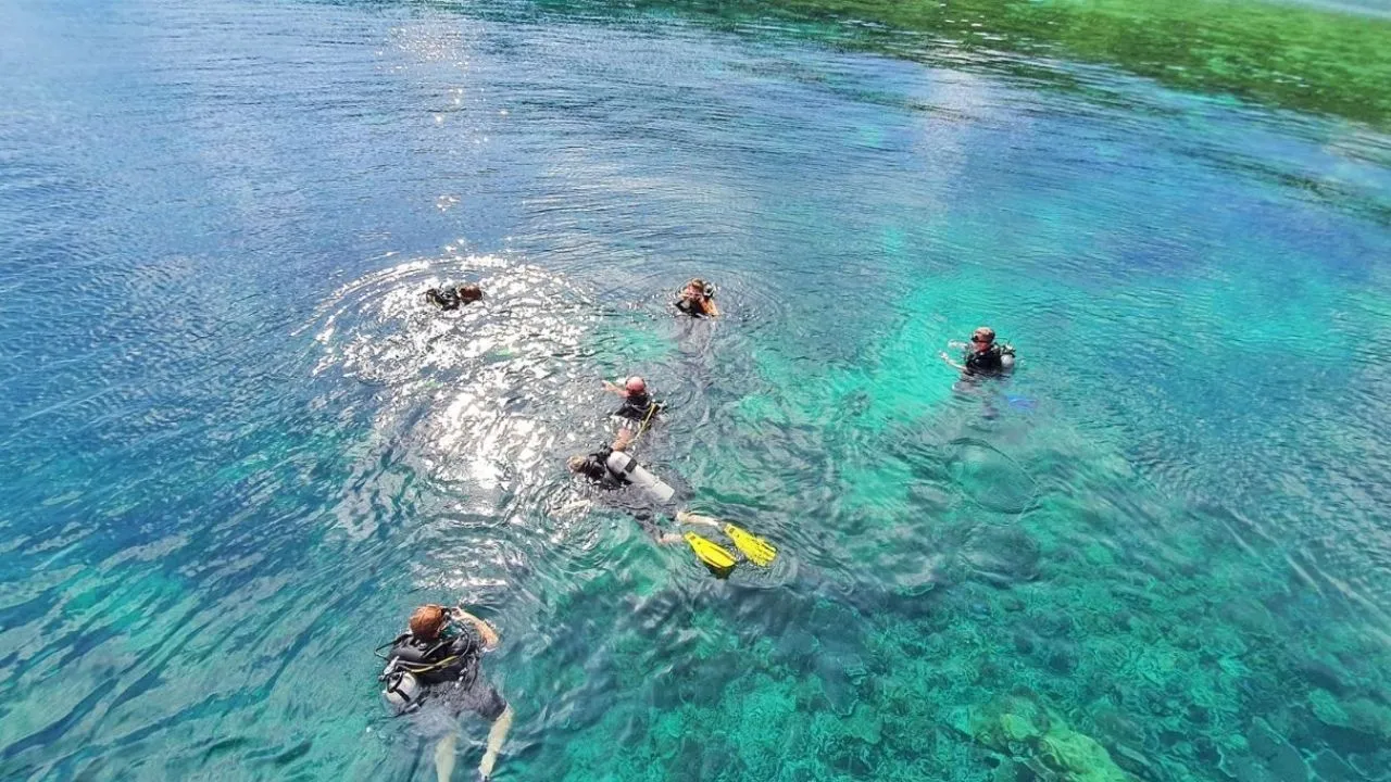 Snorkeling at the Reef at Bãi Bờ Đập