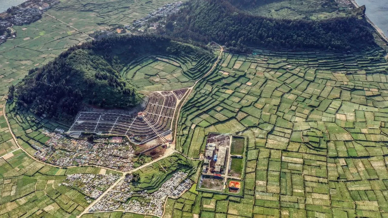 Toàn cảnh cánh đồng tỏi Lý Sơn chia ô ô vuông vắn với nền đất cát san hô trắng và cây tỏi non xanh mướt