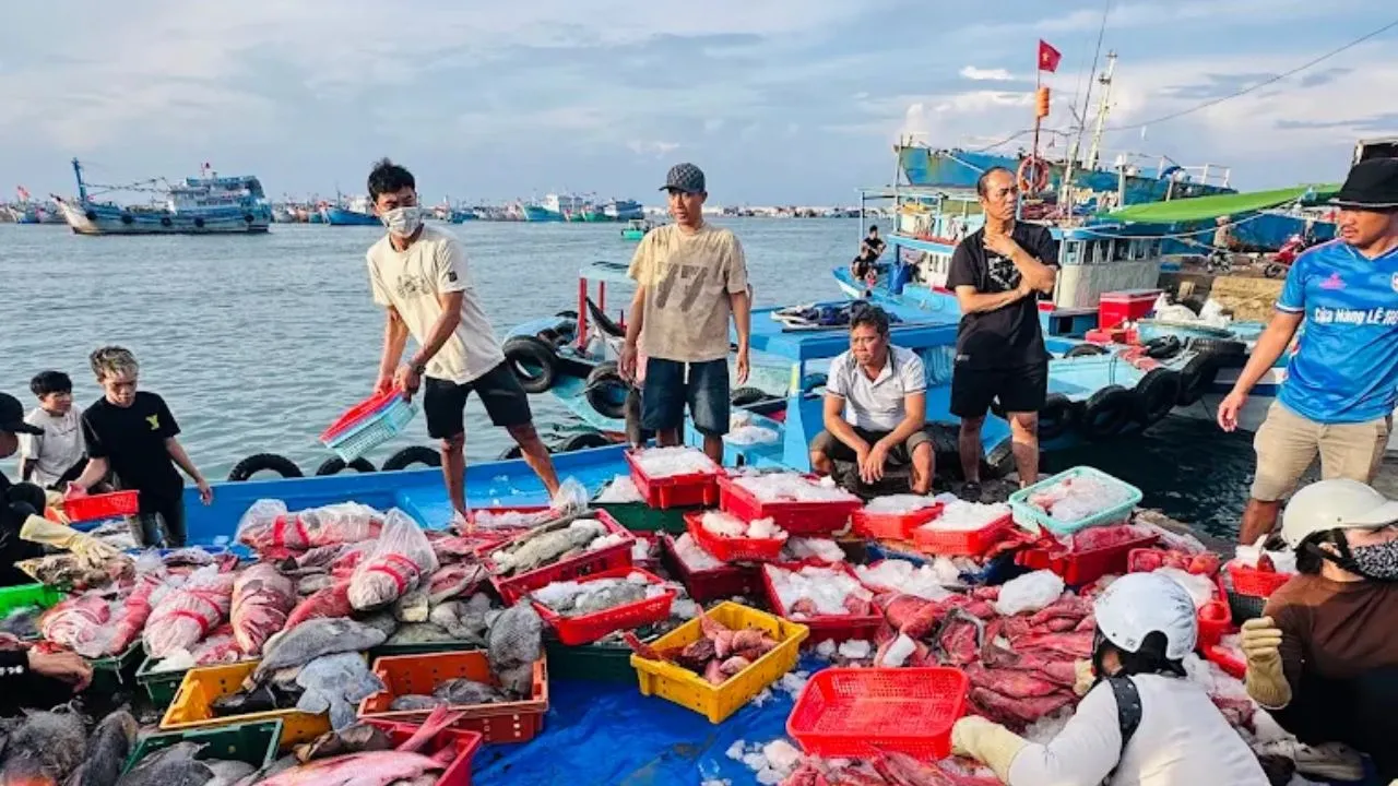 Trao đổi mua bán hải sản tấp nập ở cảng Phú Quý