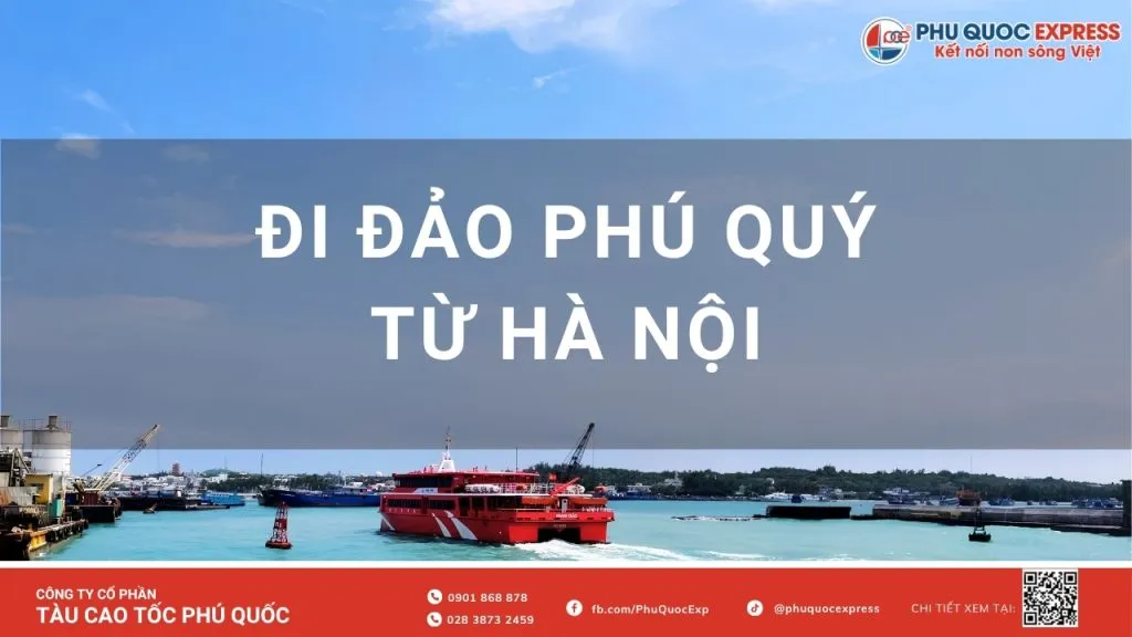 Kinh nghiệm đi du lịch Phú Quý từ Hà Nội: Lịch trình, Chi phí & Cách khớp giờ chuẩn nhất