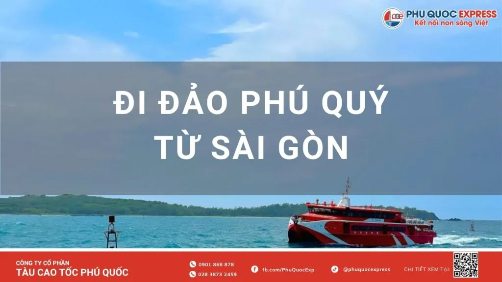 Kinh nghiệm đi đảo Phú Quý từ Sài Gòn 2024: Lịch trình, Giá vé & Mẹo chống say sóng