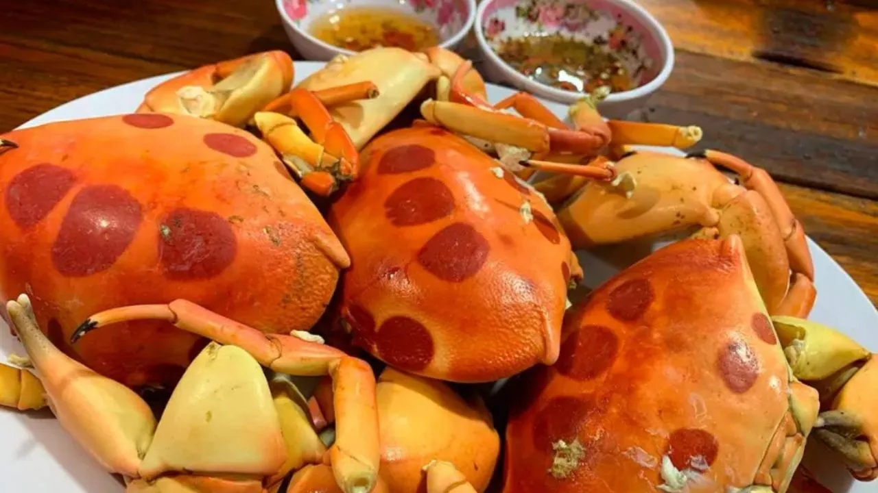 Dĩa cua mặt trăng