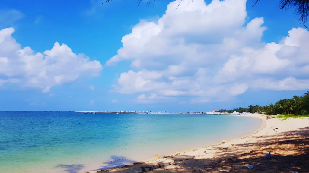Bãi cát trắng và hàng dương ở vịnh Triều Dương, đảo Phú Quý